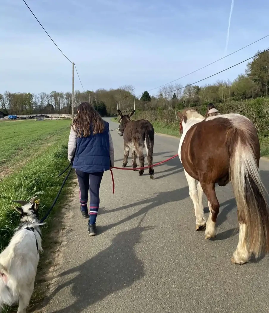 ballade justin pikachu et sven